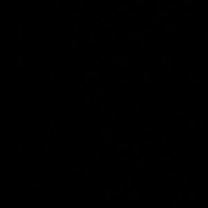 Slimsation by Multiples Black Tailored Pants